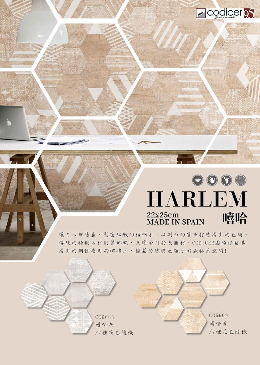 HARLEM-S.jpg